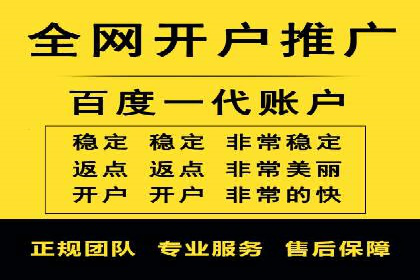 行业领先企业的SEM优化之路